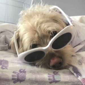 Meet your Posher, Sally